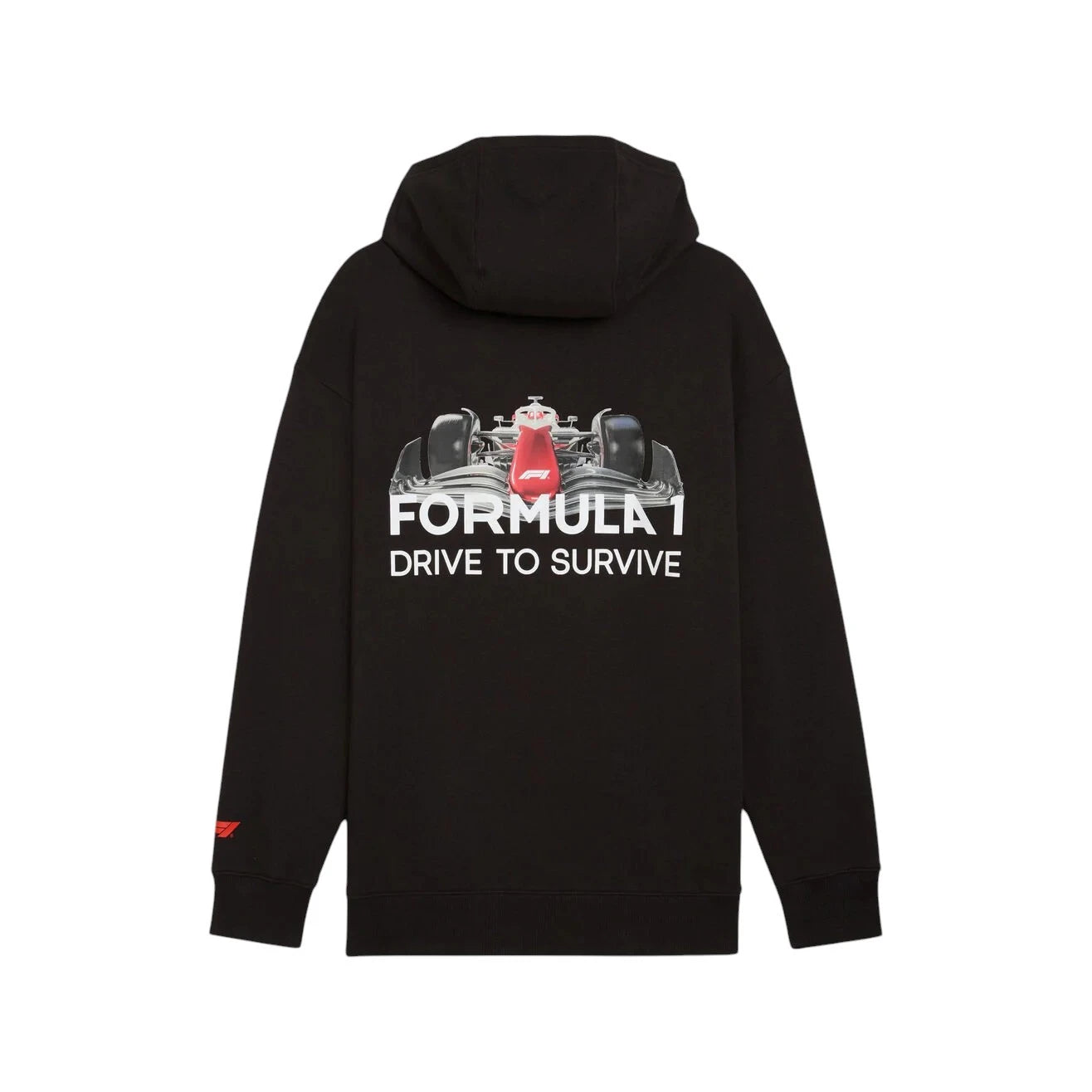 F1 Drive to Survive Relaxed Fit Hoodie