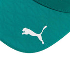 Aston Martin Alonso BB Cap 2026