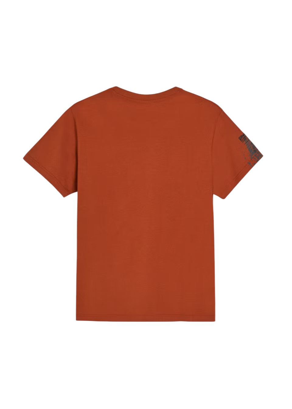 Adults' Dakar Rally Loose Fit T-Shirt - Rusty